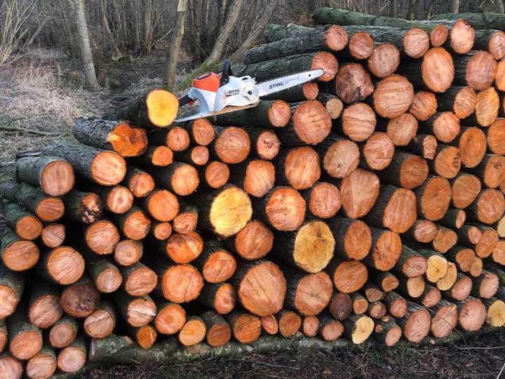 Wood Clearance 3