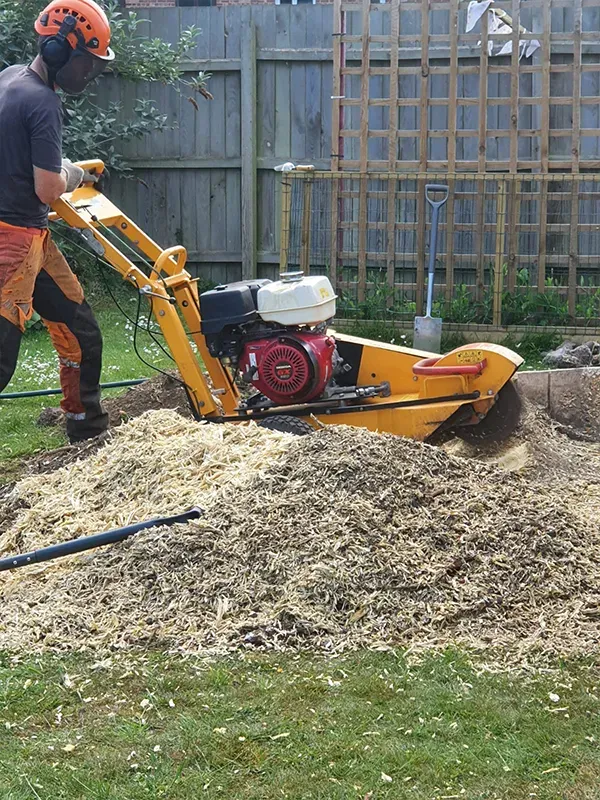 Stump Grinding Norfolk