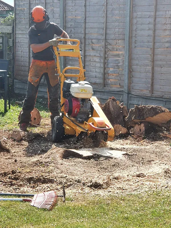 Stump Grinding Norwich